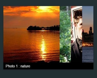 Accordion Style Image Gallery with Pure CSS