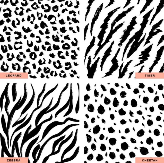 Animal Skin Patterns