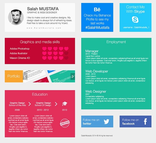 CV Flat Template 2014