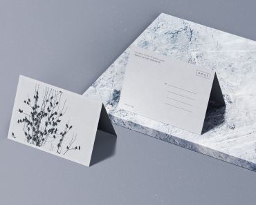 Folded Postcard Mockup