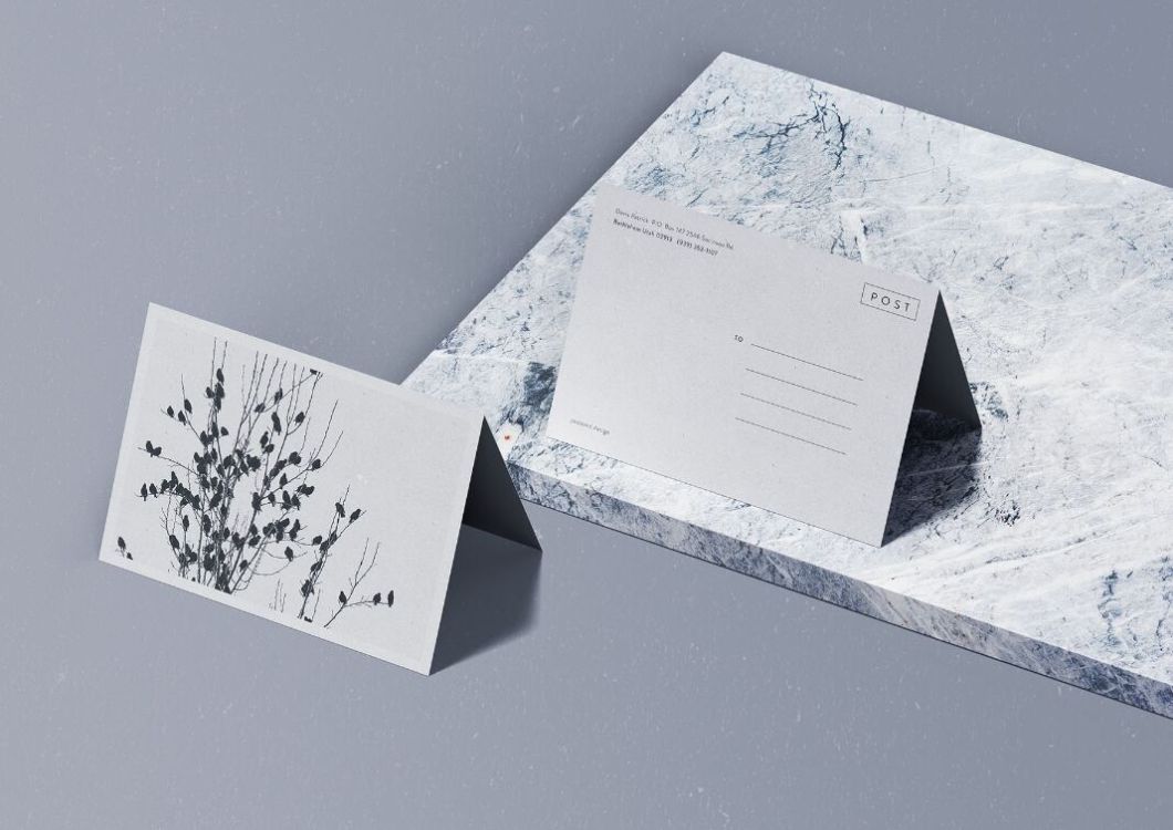 Folded Postcard Mockup