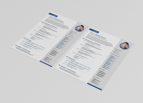 Free Professional Resume Template