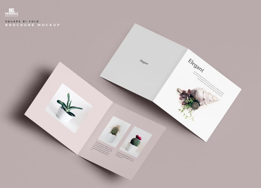 Free Square Bi-Fold Brochure Mockup