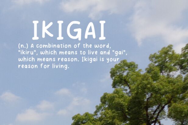 Ikigai Free Handwritten Font