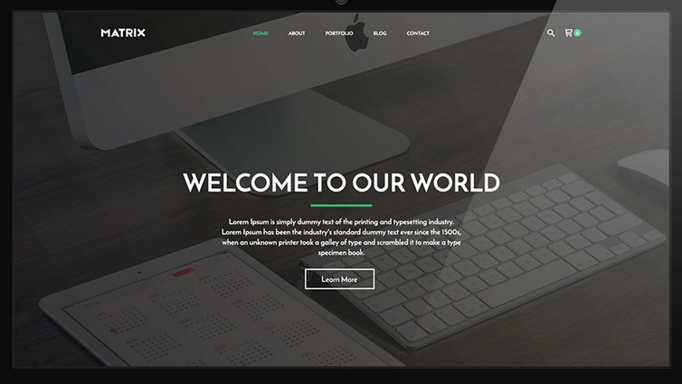 Matrix Landing Page Template (3 Themes)