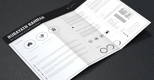 Professional Resume CV Template