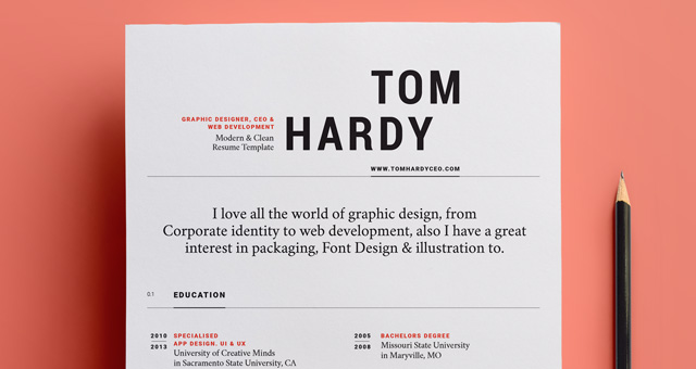 Simple Resume Template vol12