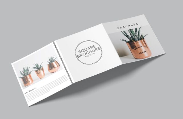 Square Trifold Brochure Mockups