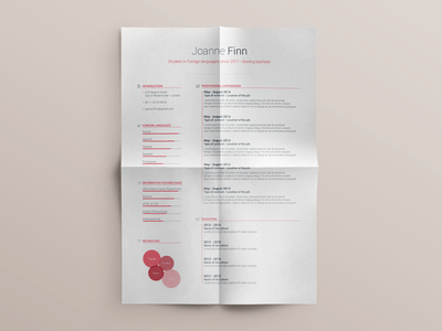 Free Resume template - vol. 2