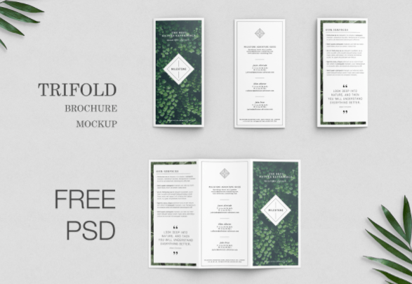 Free Trifold Brochure Mockup